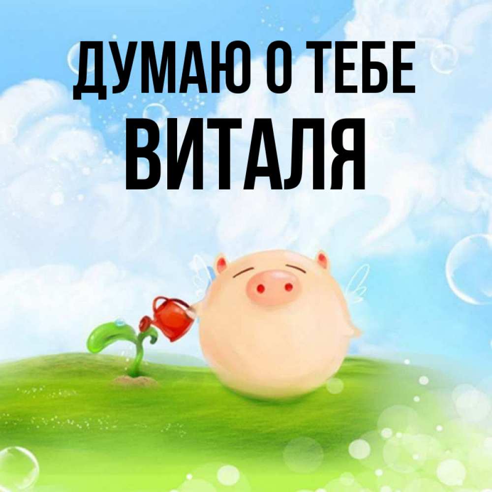 Открытка на каждый день с именем, Виталя Думаю о тебе позитивная свинюшка Прикольная открытка с пожеланием онлайн скачать бесплатно 