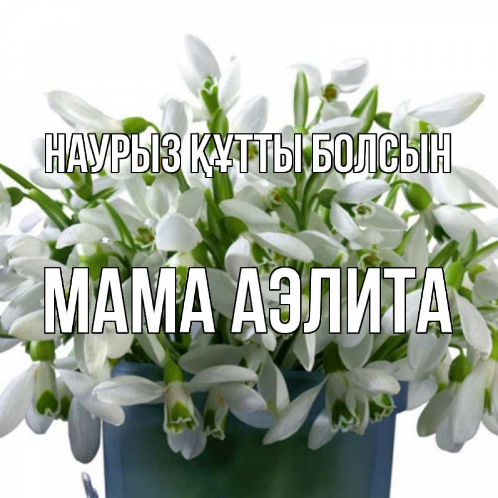 Открытка на каждый день с именем, Мама-Аэлита Наурыз құтты болсын цветы к наурызу Прикольная открытка с пожеланием онлайн скачать бесплатно 