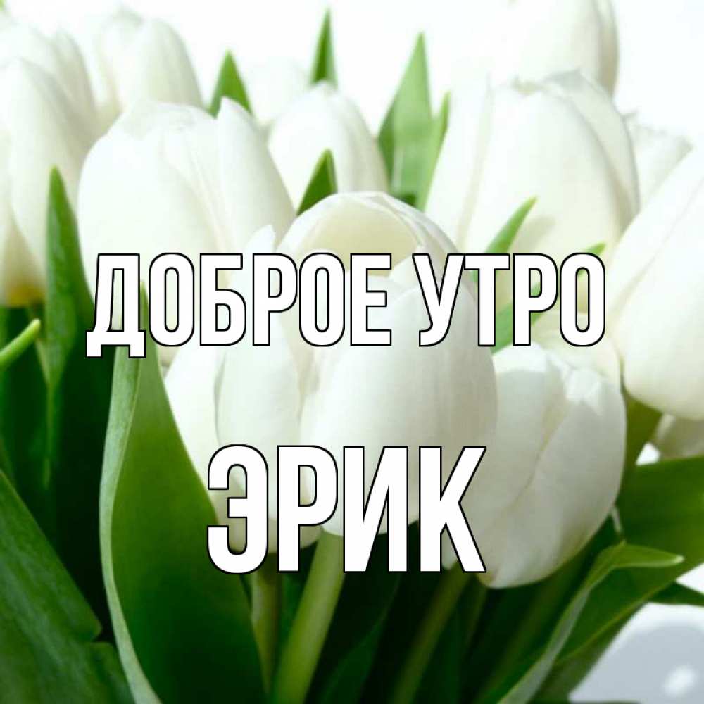 Открытка на каждый день с именем, Эрик Доброе утро открытки на каждый день по именам Прикольная открытка с пожеланием онлайн скачать бесплатно 