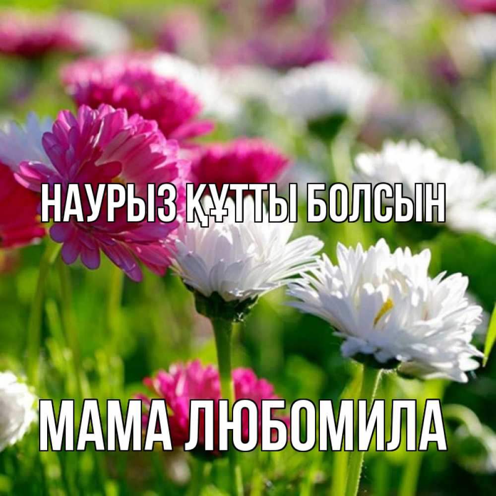 Открытка на каждый день с именем, Мама-Любомила Наурыз құтты болсын наурыз Прикольная открытка с пожеланием онлайн скачать бесплатно 