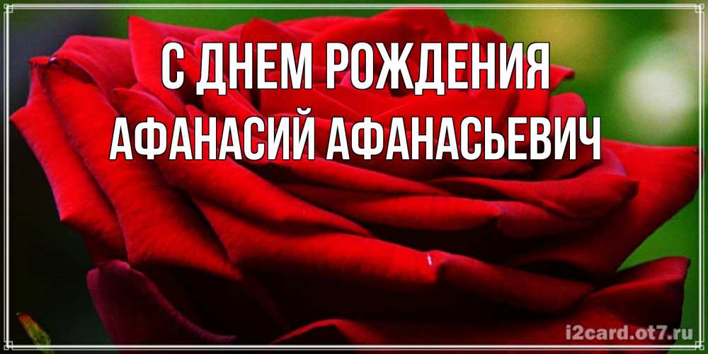 Открытка на каждый день с именем, Афанасий-Афанасьевич С днем рождения розочка очень красивая Прикольная открытка с пожеланием онлайн скачать бесплатно 