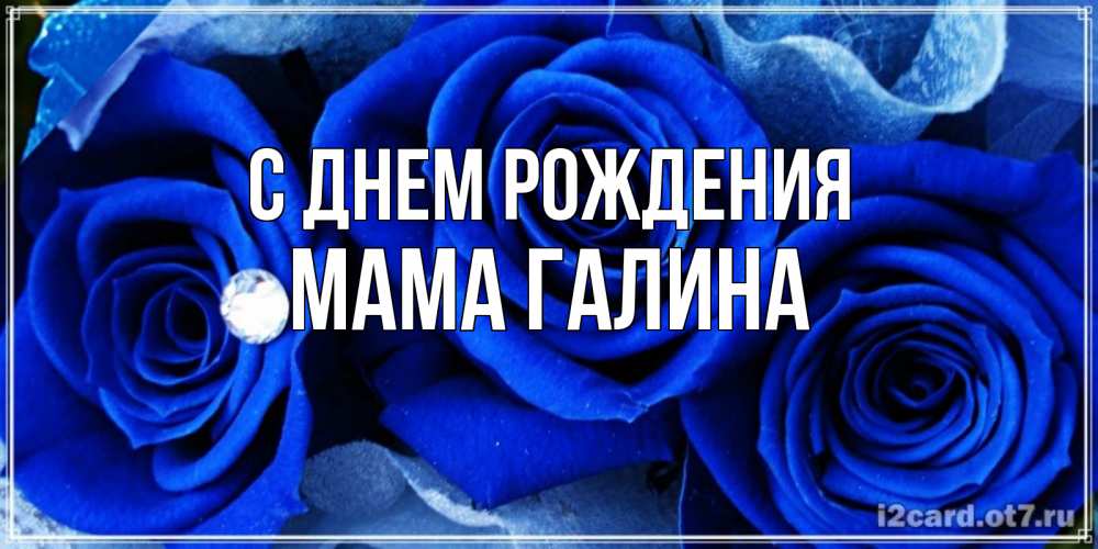 Открытка на каждый день с именем, Мама-галина С днем рождения синие розы в росе Прикольная открытка с пожеланием онлайн скачать бесплатно 