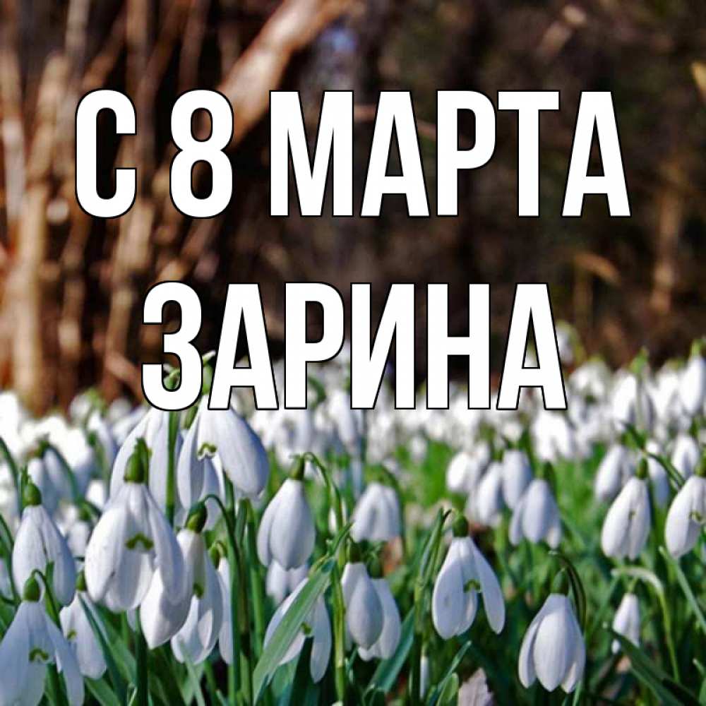 Открытка на каждый день с именем, Зарина С 8 МАРТА с подснежниками 1 Прикольная открытка с пожеланием онлайн скачать бесплатно 