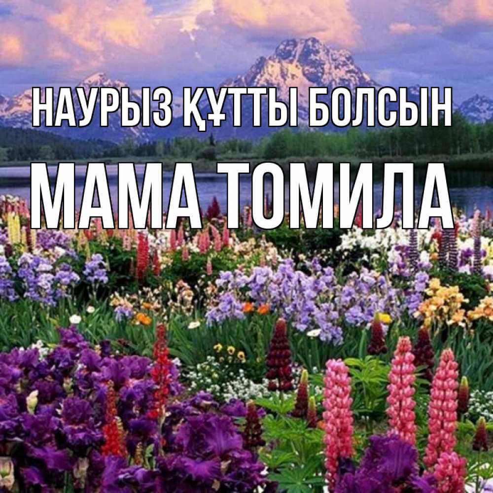 Открытка на каждый день с именем, Мама-Томила Наурыз құтты болсын наурыз Прикольная открытка с пожеланием онлайн скачать бесплатно 