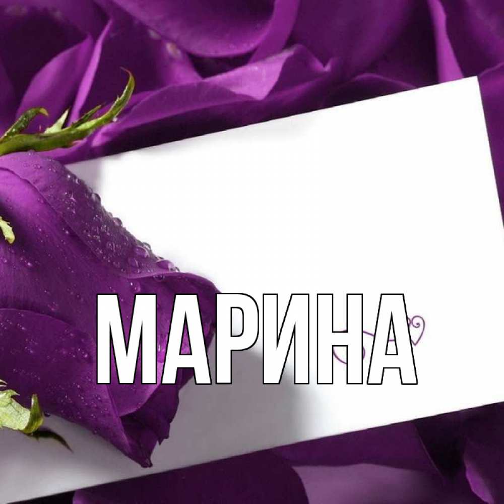 Открытка на каждый день с именем, Марина Главная роза Прикольная открытка с пожеланием онлайн скачать бесплатно 