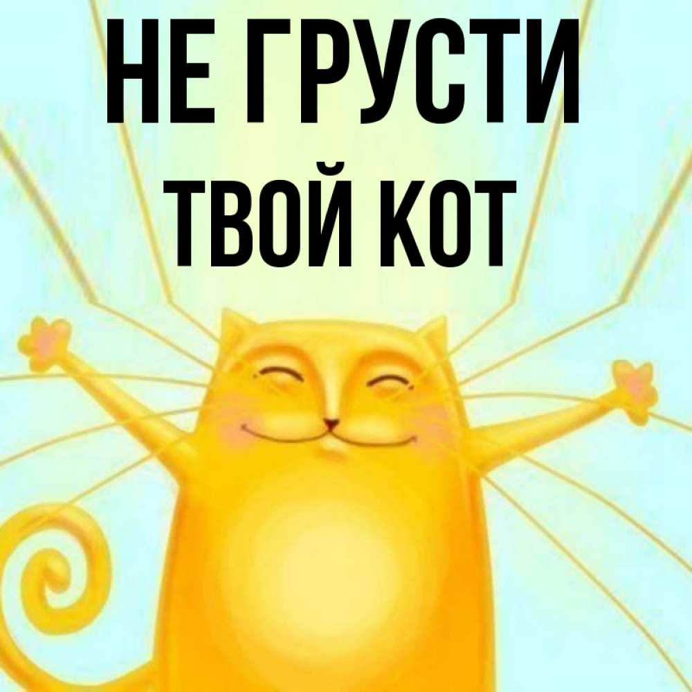 Я и твой кот