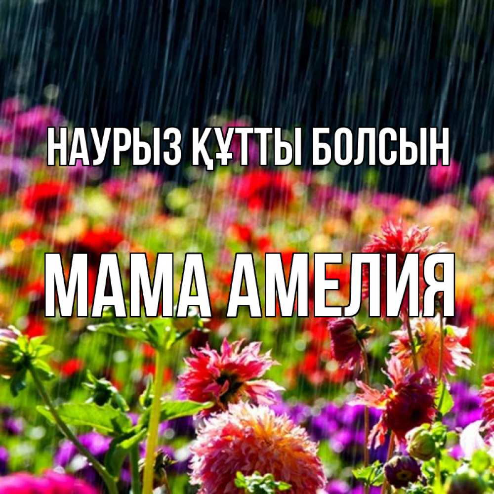 Открытка на каждый день с именем, Мама-Амелия Наурыз құтты болсын цветы под дождиком к наурызу Прикольная открытка с пожеланием онлайн скачать бесплатно 
