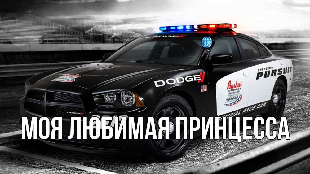 Открытка на каждый день с именем, Моя-Любимая-Принцесса Главная полиция Прикольная открытка с пожеланием онлайн скачать бесплатно 