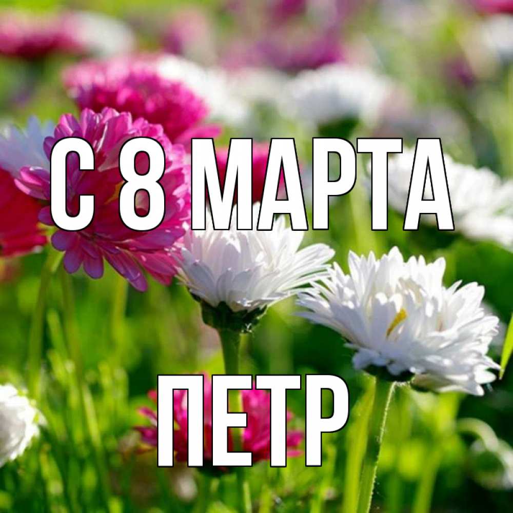 Открытка на каждый день с именем, Петр С 8 МАРТА международный женский день 1 Прикольная открытка с пожеланием онлайн скачать бесплатно 