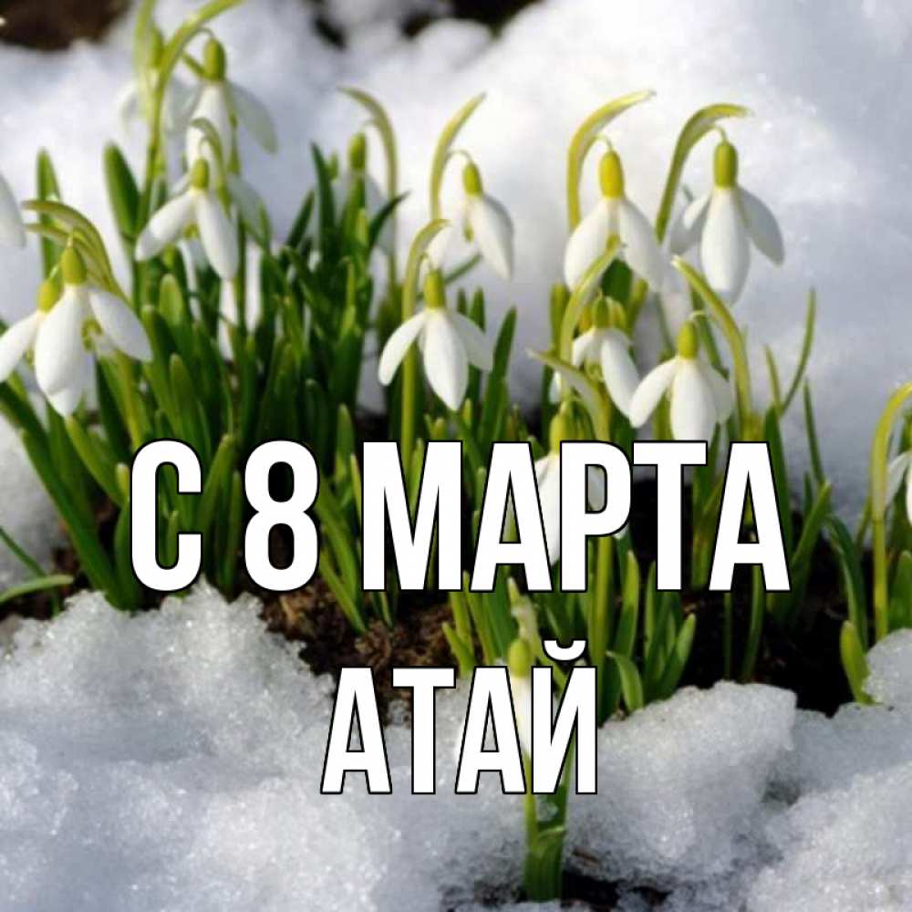 Открытка на каждый день с именем, Атай С 8 марта цветы весенние Прикольная открытка с пожеланием онлайн скачать бесплатно 