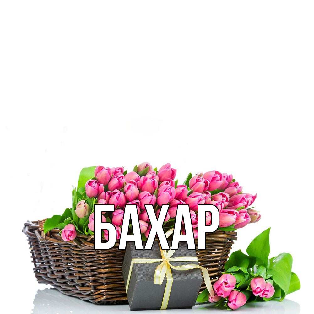 Открытка на каждый день с именем, Бахар Главная цветы Прикольная открытка с пожеланием онлайн скачать бесплатно 