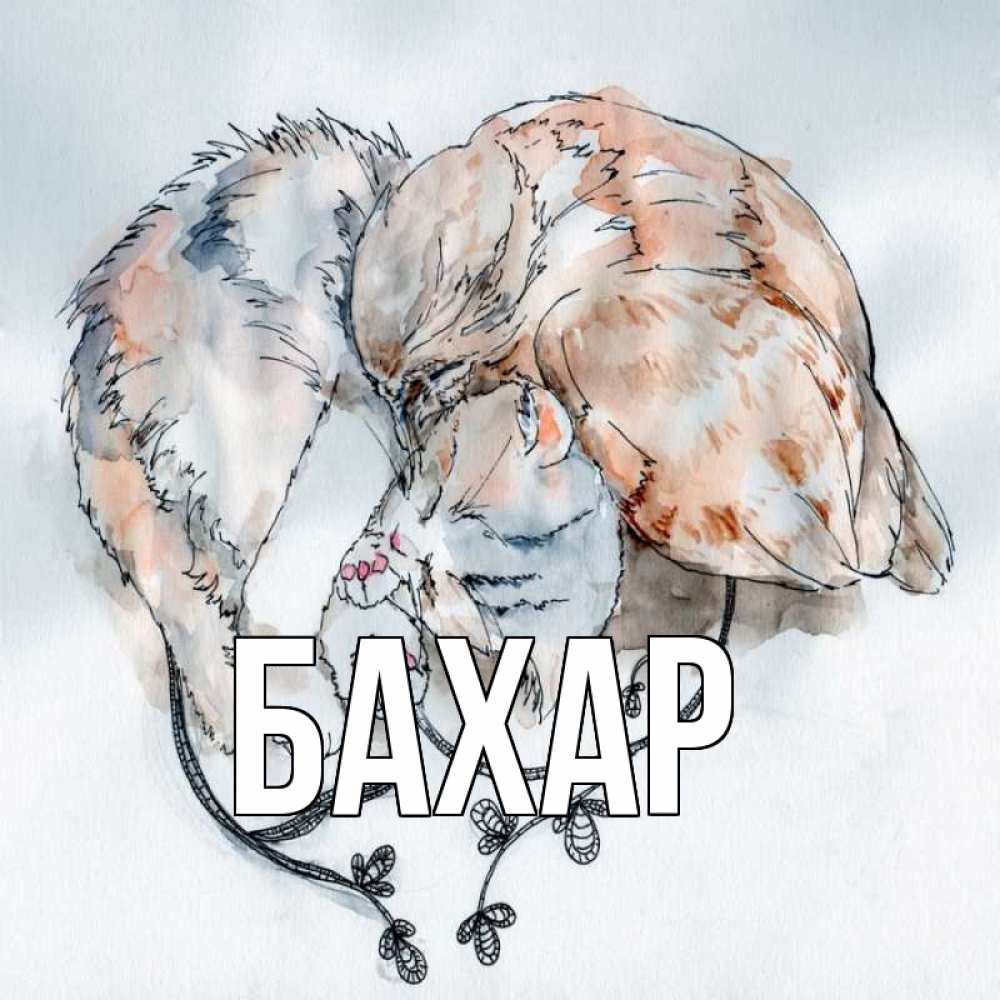 Открытка на каждый день с именем, Бахар Главная можно быть вместе даже когда очень разные Прикольная открытка с пожеланием онлайн скачать бесплатно 