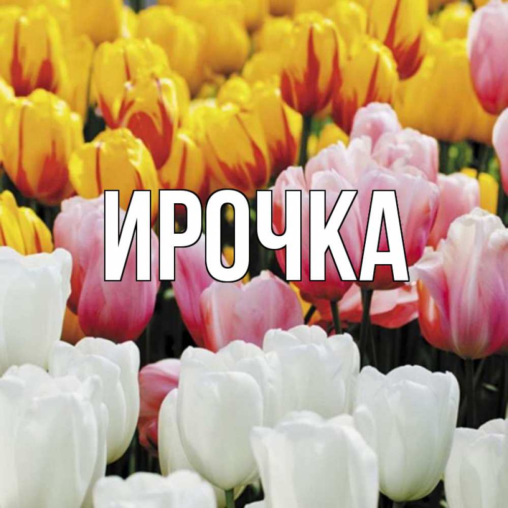 Картинка  с именем , ирочка