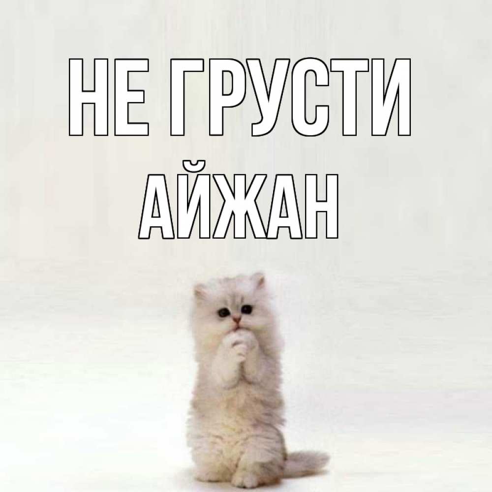 Открытка на каждый день с именем, Айжан Не грусти грустный кот Прикольная открытка с пожеланием онлайн скачать бесплатно 