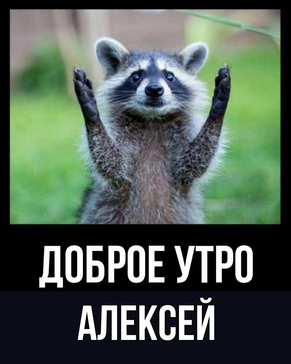 Открытка на каждый день с именем, Алексей Доброе утро хорошее настроение утречком Прикольная открытка с пожеланием онлайн скачать бесплатно 