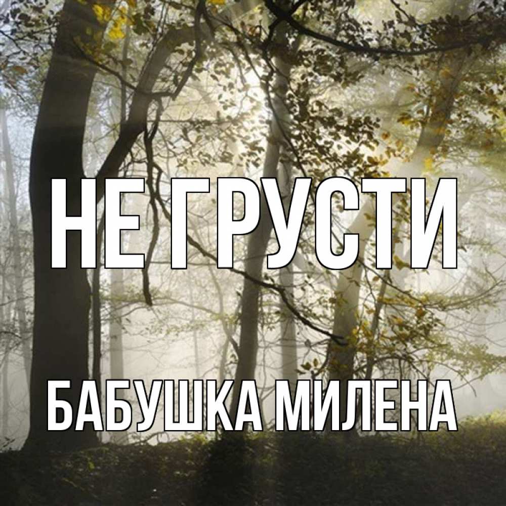 Открытка на каждый день с именем, Бабушка-Милена Не грусти лес и свет Прикольная открытка с пожеланием онлайн скачать бесплатно 