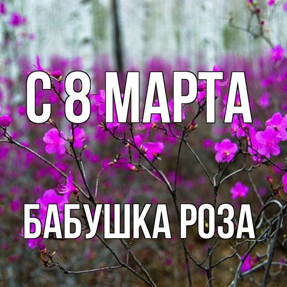 Открытка на каждый день с именем, Бабушка-Роза С 8 МАРТА дикие цветы Прикольная открытка с пожеланием онлайн скачать бесплатно 