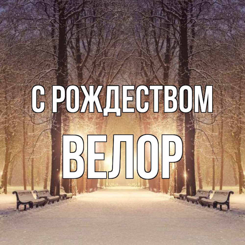 Открытка на каждый день с именем, Велор С рождеством зима, парк, фонарь, лес Прикольная открытка с пожеланием онлайн скачать бесплатно 
