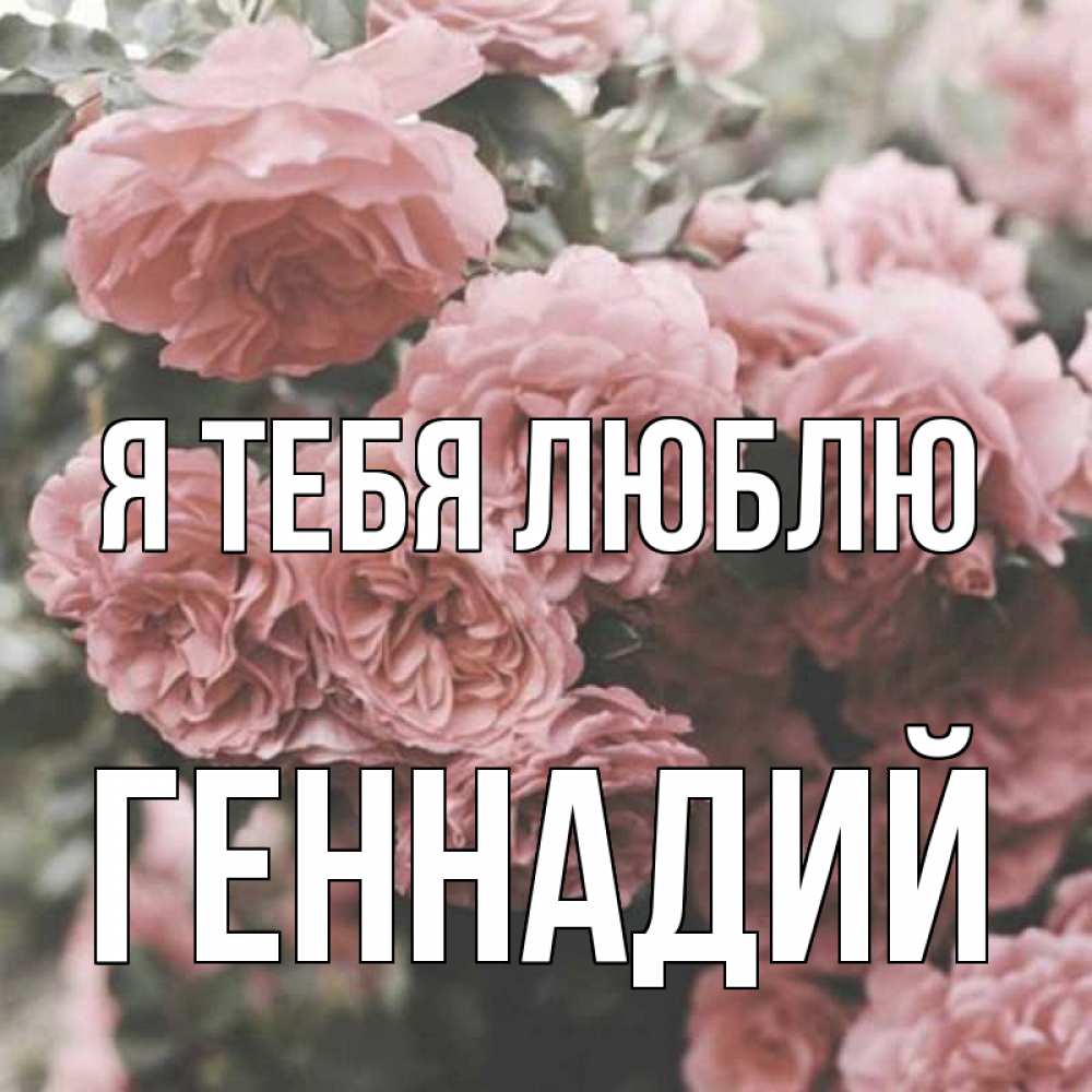 Открытка на каждый день с именем, Геннадий Я тебя люблю розы 3 Прикольная открытка с пожеланием онлайн скачать бесплатно 