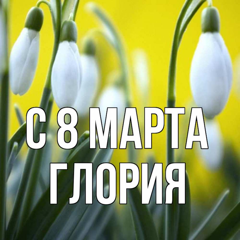 Открытка на каждый день с именем, Глория С 8 МАРТА весенние цветы Прикольная открытка с пожеланием онлайн скачать бесплатно 