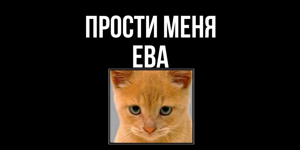 Открытка на каждый день с именем, Ева Прости меня рыжий грустный кот просит прощения Прикольная открытка с пожеланием онлайн скачать бесплатно 