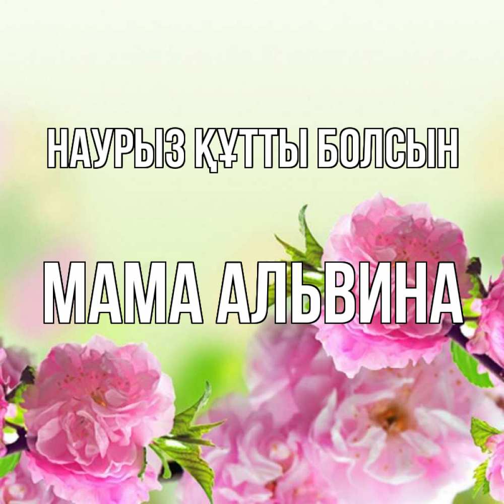 Открытка на каждый день с именем, Мама-Альвина Наурыз құтты болсын цветы Прикольная открытка с пожеланием онлайн скачать бесплатно 