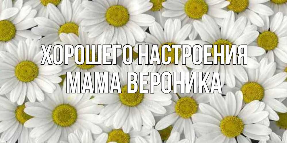 Открытка на каждый день с именем, Мама-Вероника Хорошего настроения поляна ромашек Прикольная открытка с пожеланием онлайн скачать бесплатно 