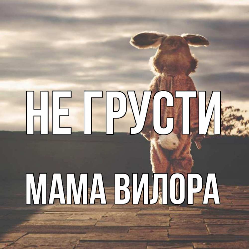 Открытка на каждый день с именем, Мама-Вилора Не грусти со спины Прикольная открытка с пожеланием онлайн скачать бесплатно 