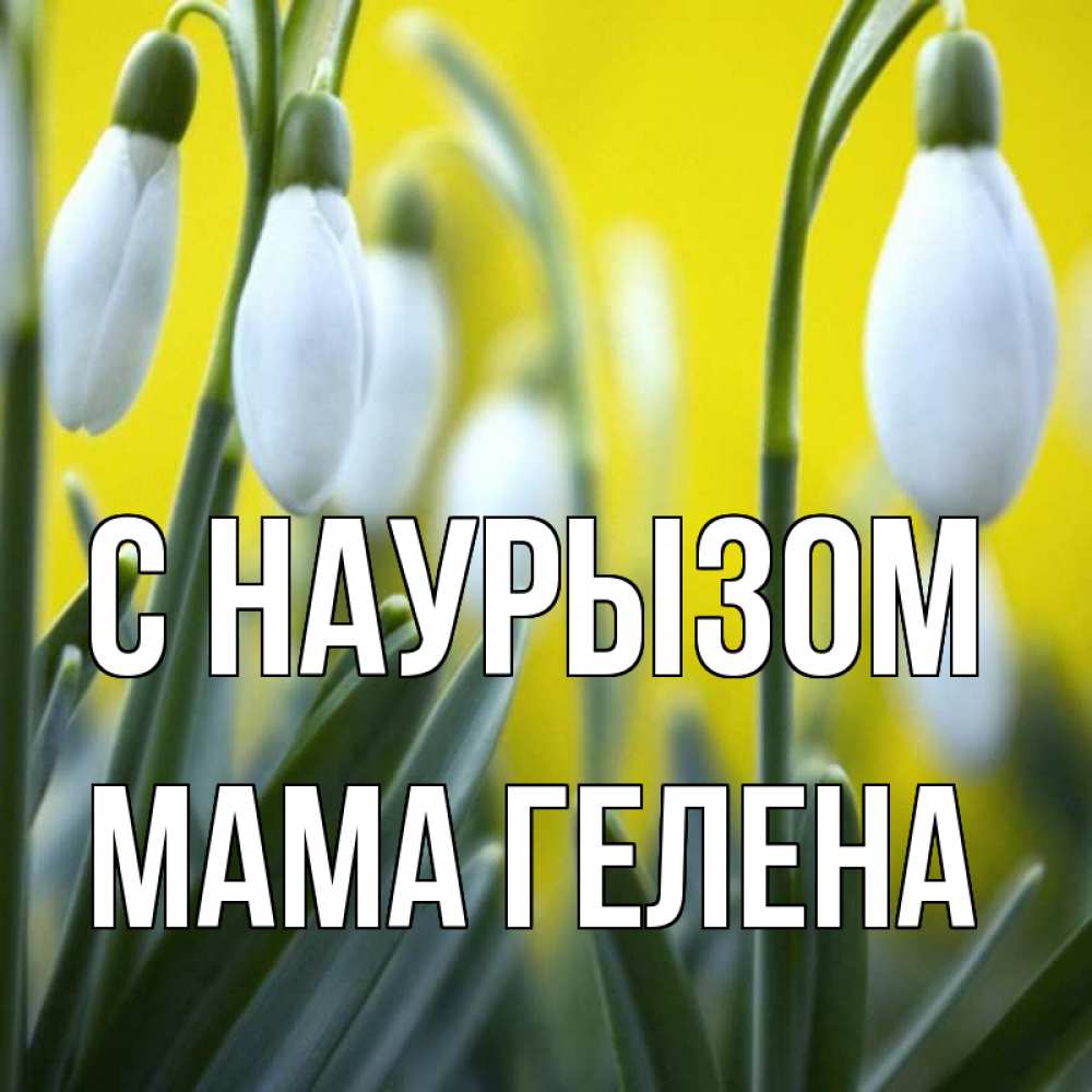 Открытка на каждый день с именем, Мама-Гелена С наурызом весенние цветы Прикольная открытка с пожеланием онлайн скачать бесплатно 