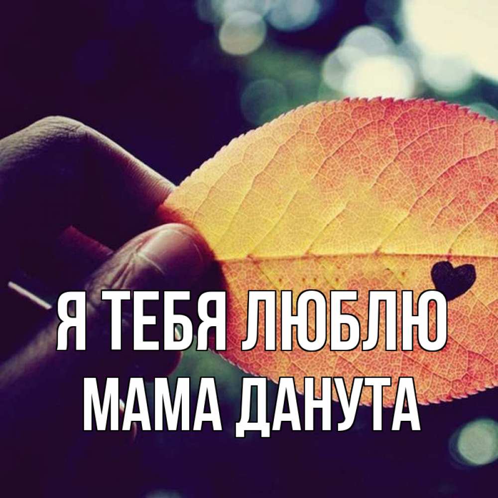 Открытка на каждый день с именем, Мама-Данута Я тебя люблю держу лист Прикольная открытка с пожеланием онлайн скачать бесплатно 
