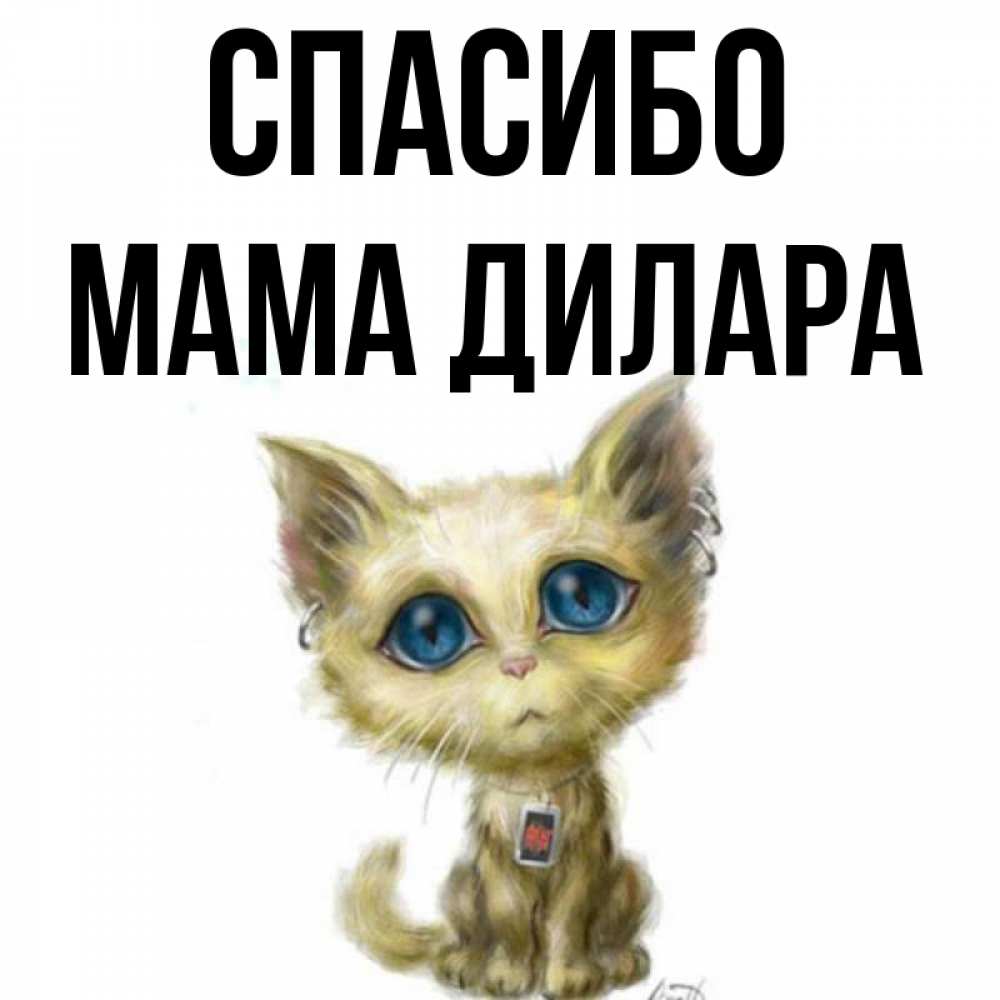 Открытка на каждый день с именем, Мама-Дилара Спасибо рисованный кот благодарит вас Прикольная открытка с пожеланием онлайн скачать бесплатно 