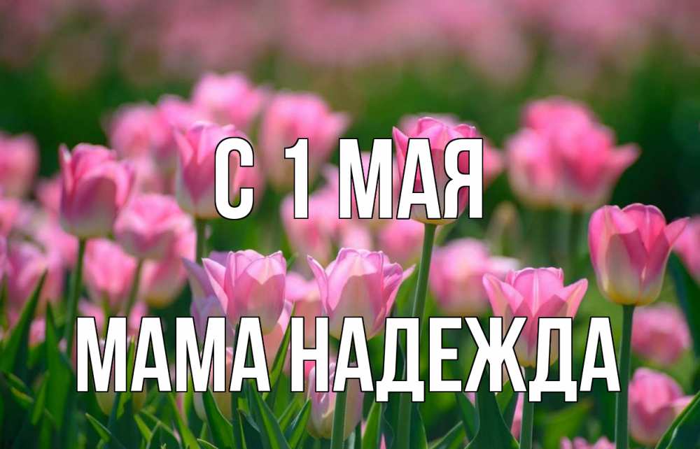 Открытка на каждый день с именем, Мама-Надежда С 1 мая С 1 мая Прикольная открытка с пожеланием онлайн скачать бесплатно 