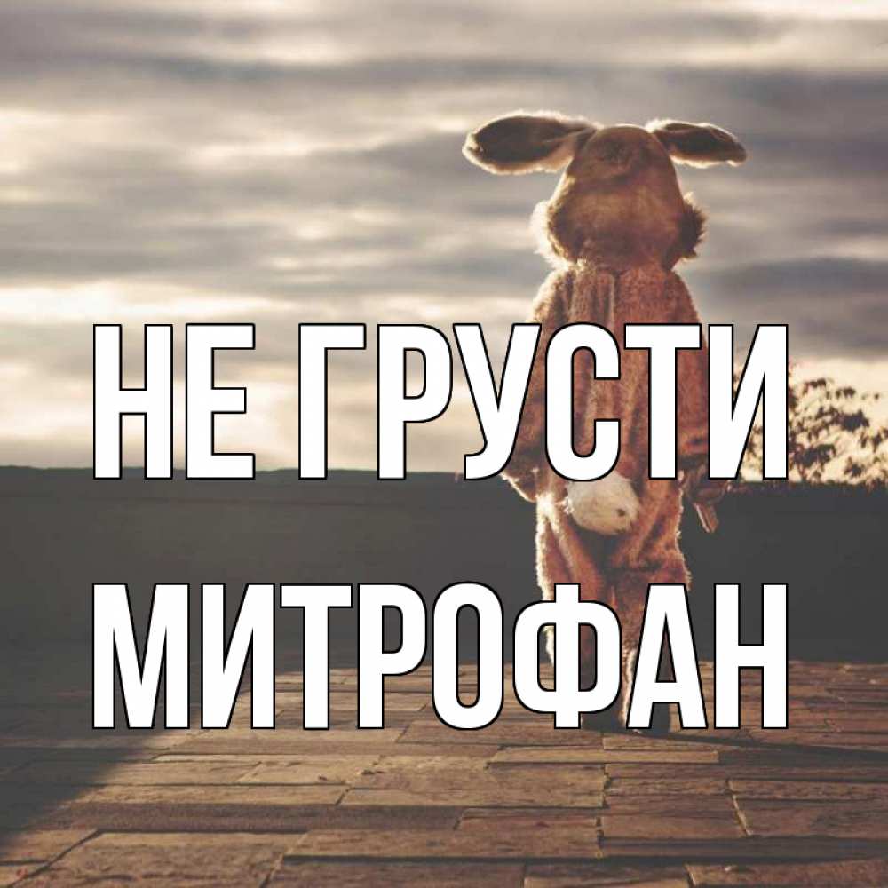 Открытка на каждый день с именем, Митрофан Не грусти со спины Прикольная открытка с пожеланием онлайн скачать бесплатно 