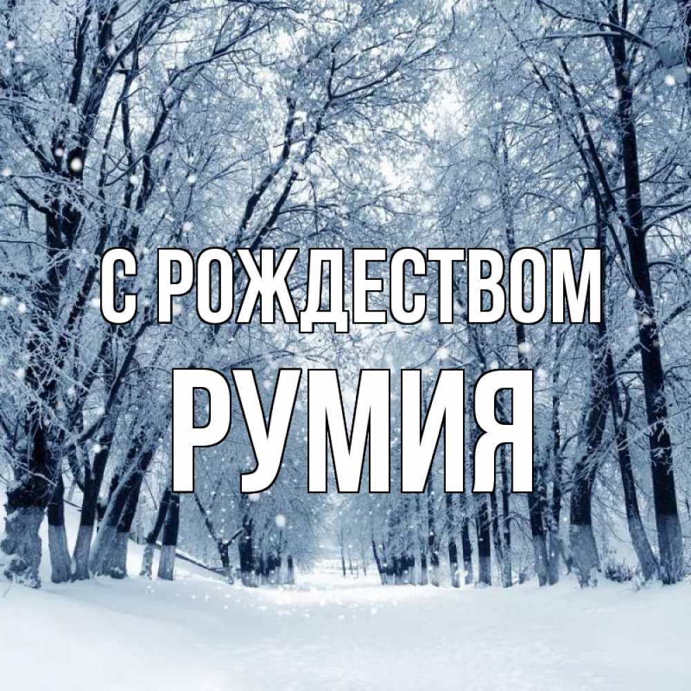 Открытка на каждый день с именем, Румия С рождеством снег, лес, парк Прикольная открытка с пожеланием онлайн скачать бесплатно 