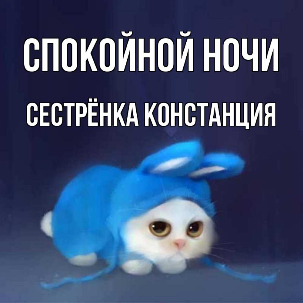 Открытка на каждый день с именем, Сестрёнка-Констанция Спокойной ночи кот в голубом костюме кролика с ушками Прикольная открытка с пожеланием онлайн скачать бесплатно 