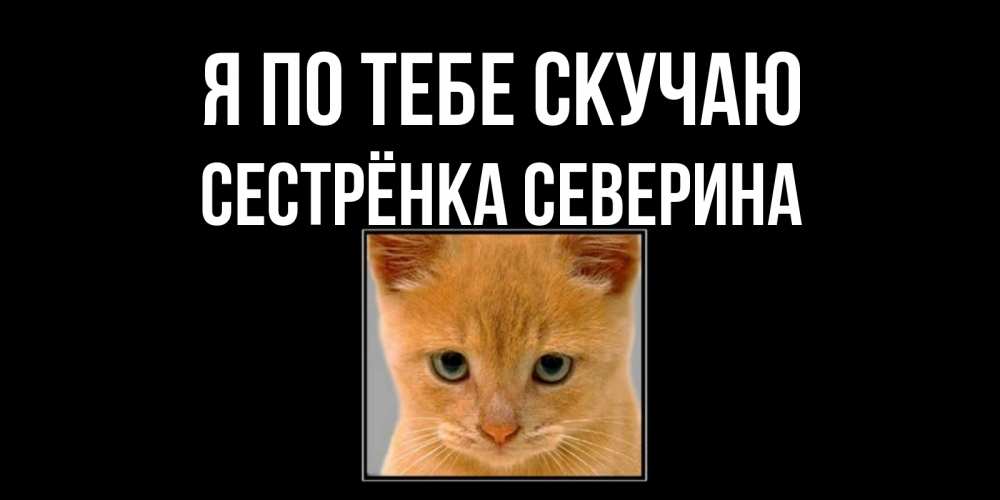 Открытка на каждый день с именем, Сестрёнка-Северина Я по тебе скучаю открытки рыжий котенок скучает по тебе Прикольная открытка с пожеланием онлайн скачать бесплатно 