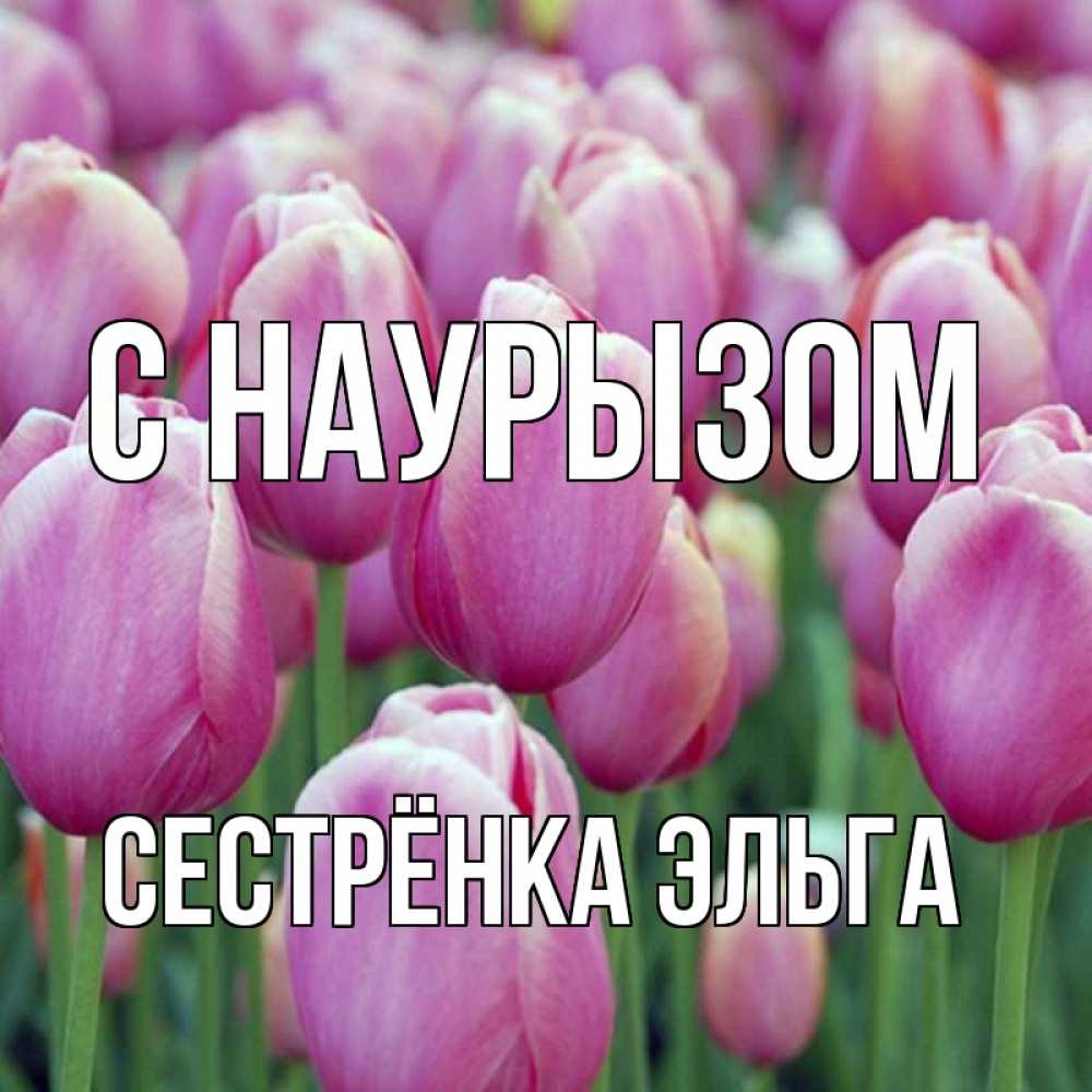 Открытка на каждый день с именем, Сестрёнка-Эльга С наурызом праздник весны наурыз 69 Прикольная открытка с пожеланием онлайн скачать бесплатно 