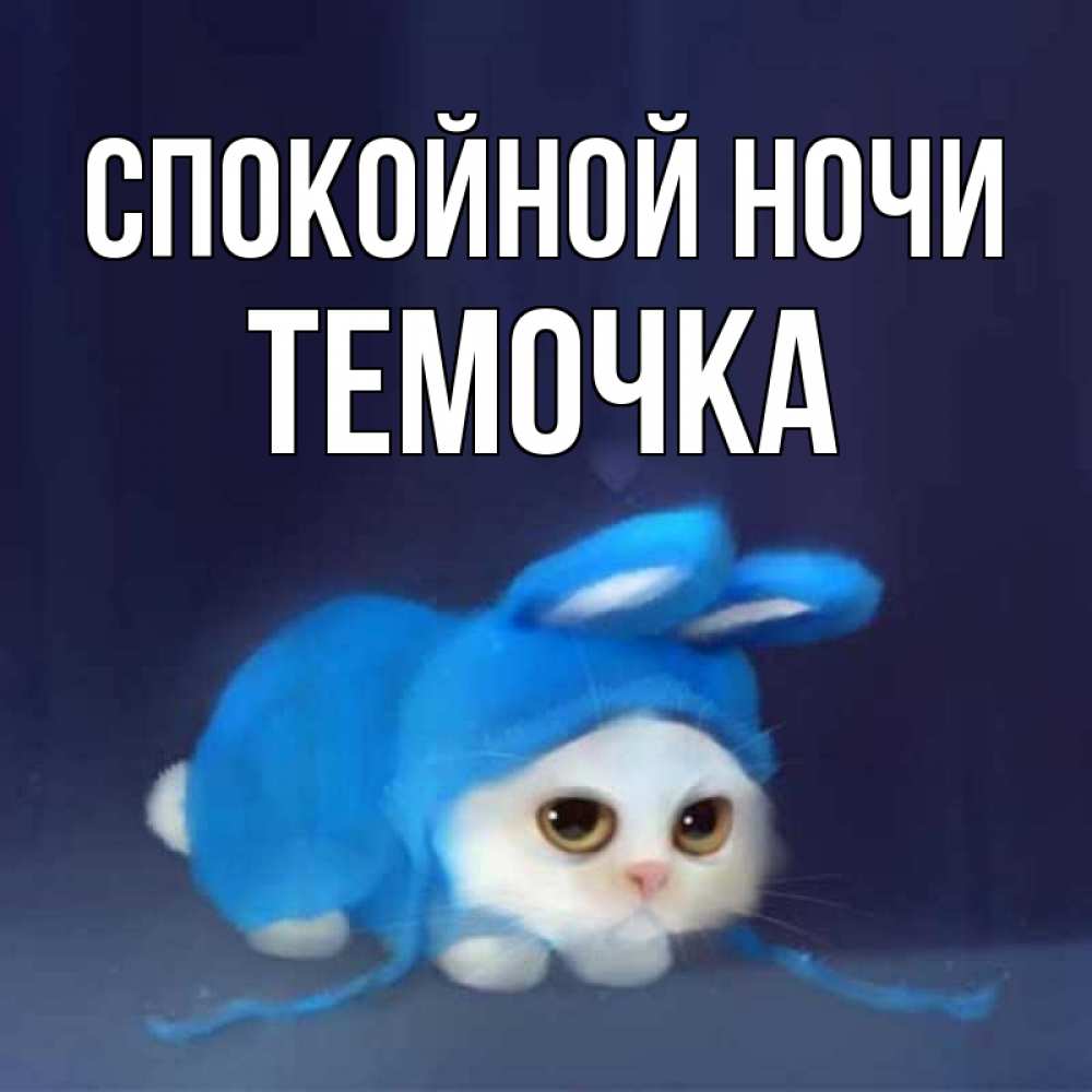 Открытка на каждый день с именем, Темочка Спокойной ночи кот в голубом костюме кролика с ушками Прикольная открытка с пожеланием онлайн скачать бесплатно 
