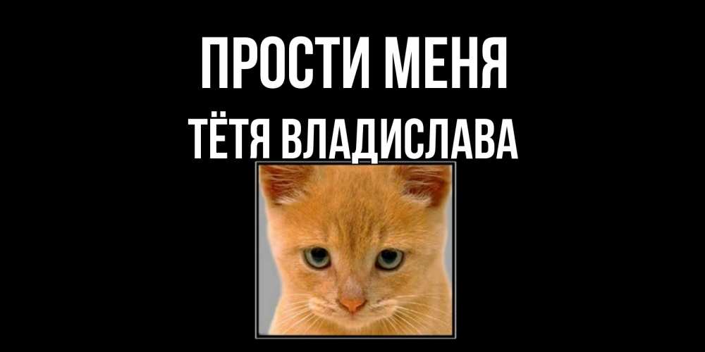 Открытка на каждый день с именем, Тётя-Владислава Прости меня рыжий грустный кот просит прощения Прикольная открытка с пожеланием онлайн скачать бесплатно 