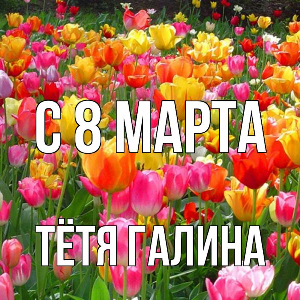 Открытка на каждый день с именем, Тётя-Галина С 8 МАРТА на международный женский день Прикольная открытка с пожеланием онлайн скачать бесплатно 