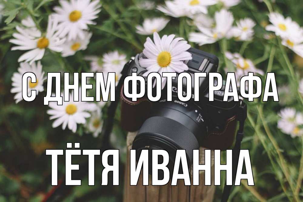Открытка на каждый день с именем, Тётя-Иванна С днем фотографа с днем фотографа Прикольная открытка с пожеланием онлайн скачать бесплатно 