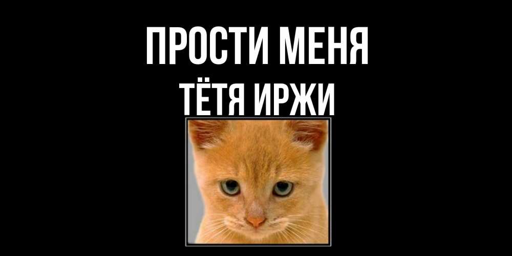 Открытка на каждый день с именем, Тётя-Иржи Прости меня рыжий грустный кот просит прощения Прикольная открытка с пожеланием онлайн скачать бесплатно 