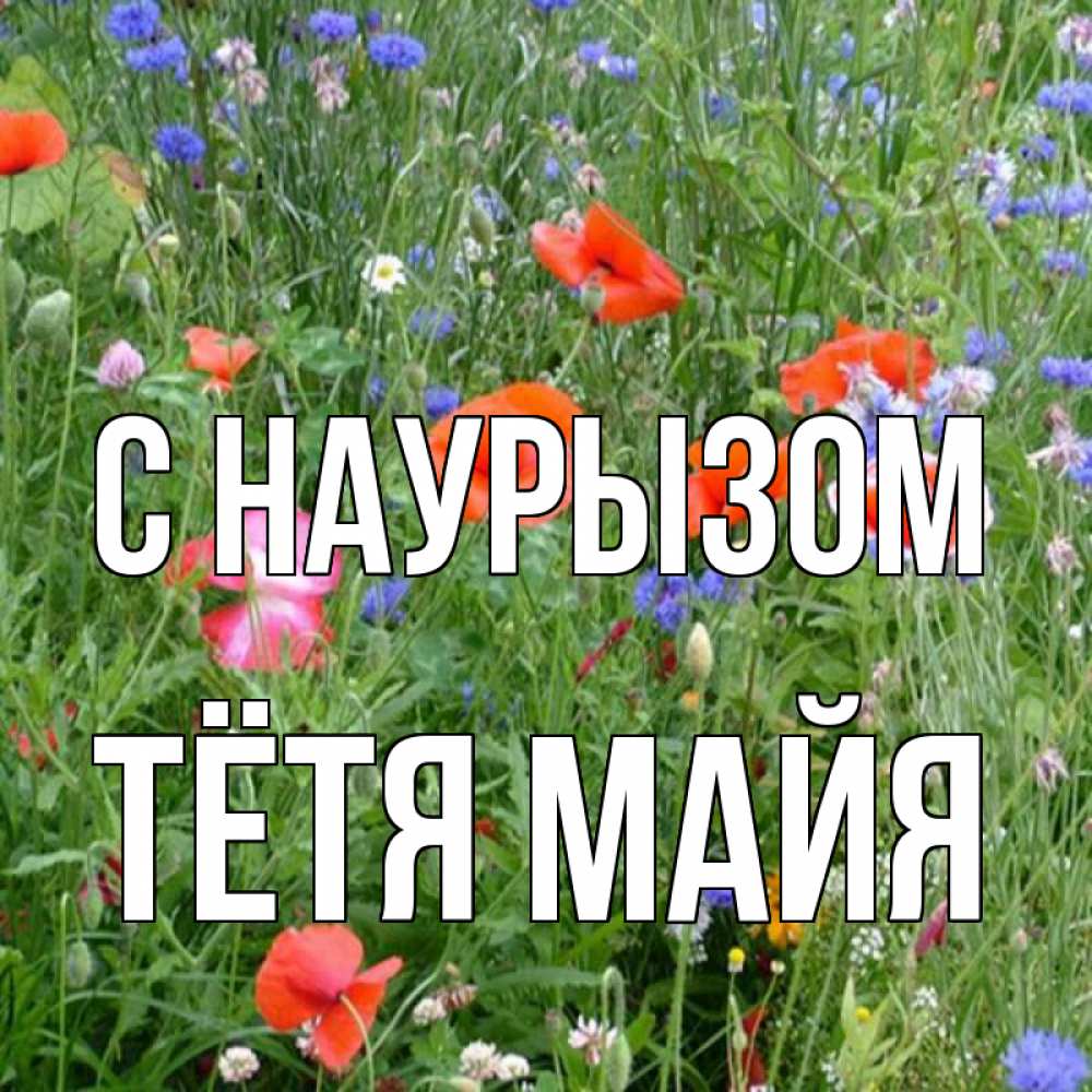 Открытка на каждый день с именем, Тётя-Майя С наурызом праздник весны наурыз супер открытка Прикольная открытка с пожеланием онлайн скачать бесплатно 