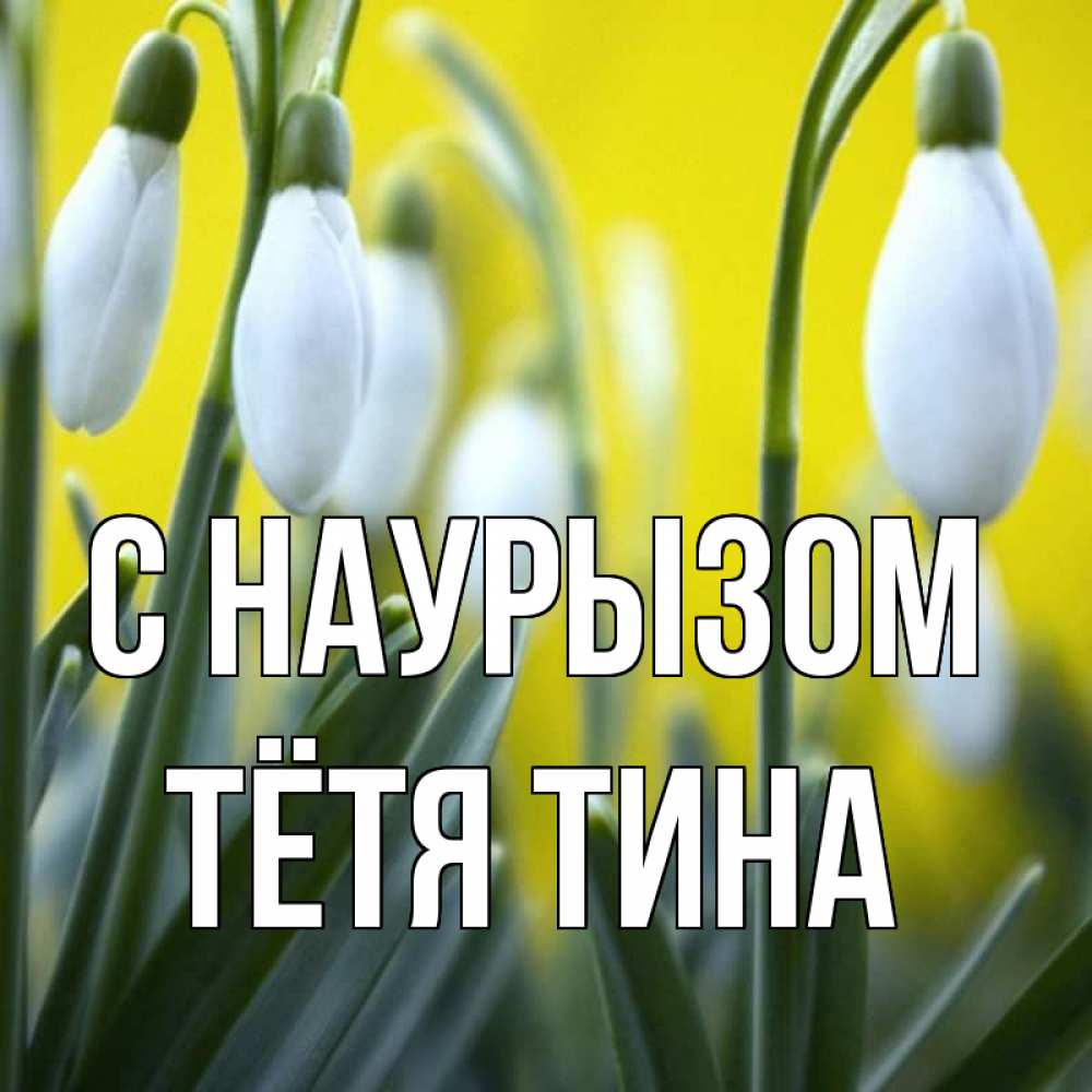 Открытка на каждый день с именем, Тётя-Тина С наурызом весенние цветы Прикольная открытка с пожеланием онлайн скачать бесплатно 