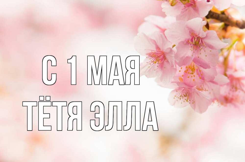 Открытка на каждый день с именем, Тётя-Элла С 1 мая С 1 мая Прикольная открытка с пожеланием онлайн скачать бесплатно 
