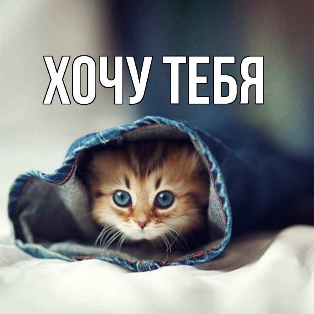 Открытка на каждый день с именем, Хочу-тебя Главная мне без тебя плохо Прикольная открытка с пожеланием онлайн скачать бесплатно 