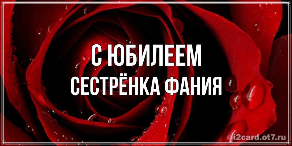 Открытка на каждый день с именем, Сестрёнка-Фания С юбилеем крупная бордовая роза Прикольная открытка с пожеланием онлайн скачать бесплатно 