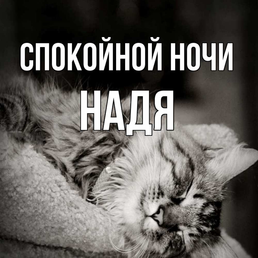 доброй ночи надя открытка устройство