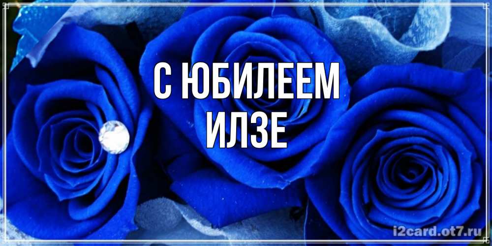 Открытка на каждый день с именем, Илзе С юбилеем синие розы в росе Прикольная открытка с пожеланием онлайн скачать бесплатно 