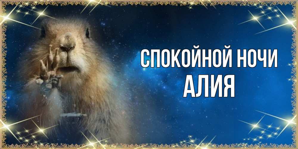 Открытка на каждый день с именем, Алия Спокойной ночи спокойной ночи сладких снов Прикольная открытка с пожеланием онлайн скачать бесплатно 